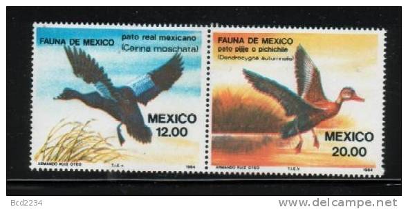 BIRDS 1984 MEXICO DUCKS SET OF 2 NHM Birds Fauna De Mexico - Anatre