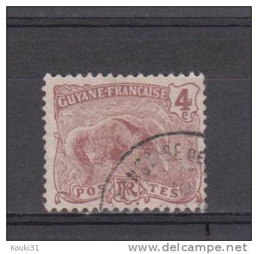 Guyane YT 51 Obl : Fourmilier - Used Stamps
