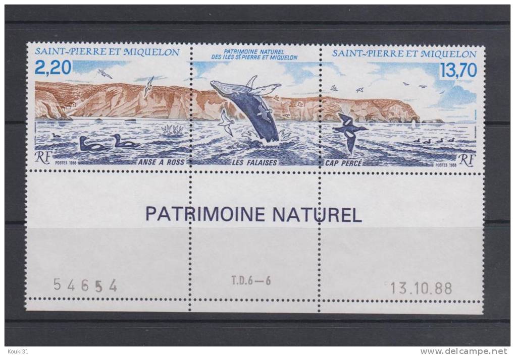 SPM YT 495A ** Coin Daté : Canard , Falaise , Baleine - 1988 - Unused Stamps