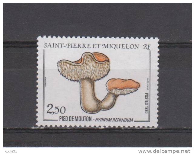 SPM YT 513 ** : Champignon , Pied De Mouton - 1990 - Unused Stamps