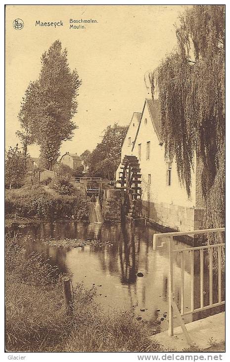 MAESEYCK  - Boschmolen - Moulin à Eau - Uitg. Van Der Donck-Robyns - Maaseik