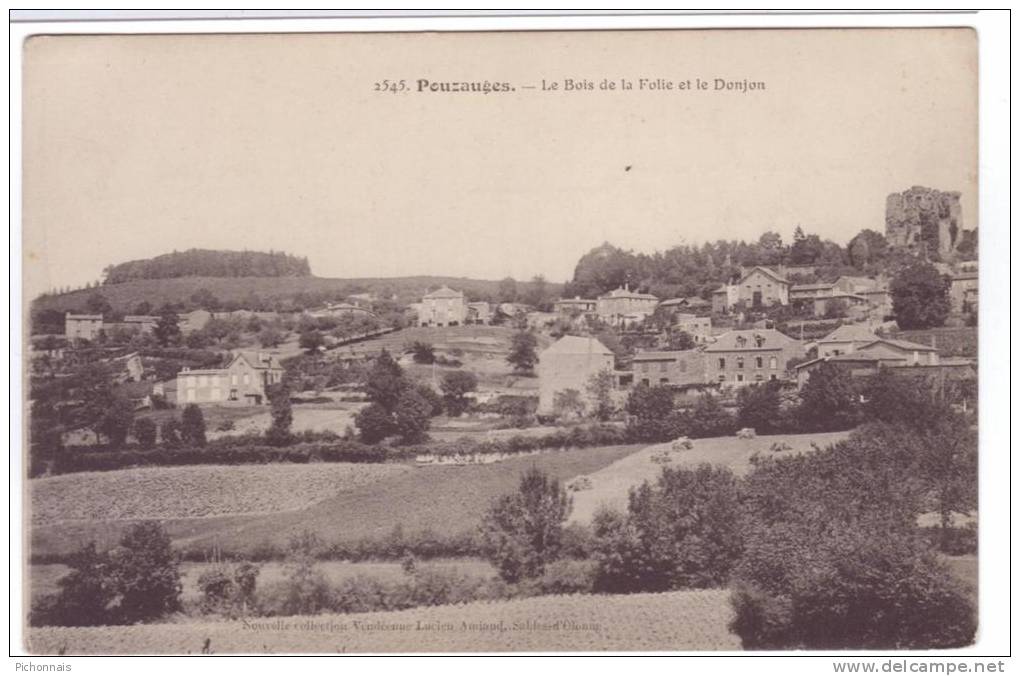 85  POUZAUGES  Le Bois De La Folie Et Le Donjon - Pouzauges