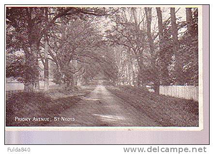 CPA.  St NEOTS.       Priory Avenue. - Other & Unclassified