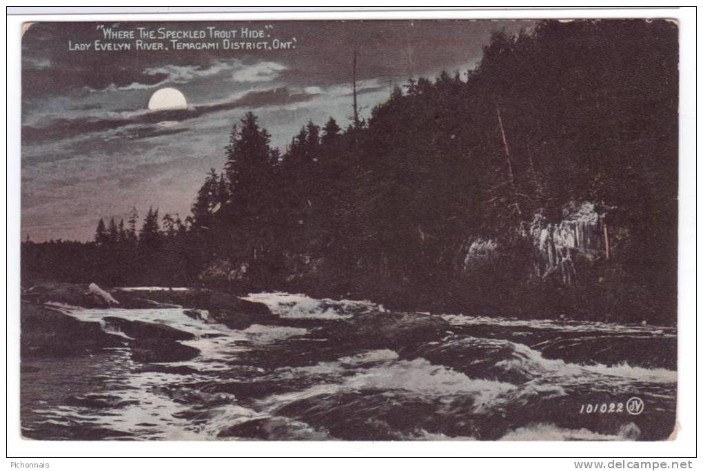 Canada Lady Evelyn River  TEMAGAMI District Ontario  Moon Night Nipissing - North Bay