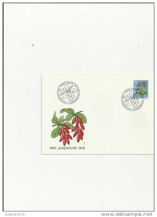 SWITZERLAND PRO JUVENTUTE 1976 - FDC  MILLER NR.1086  (1 STAMP) POSTMARKED 29/11/1976 REF 7 PR JU - Cartas & Documentos