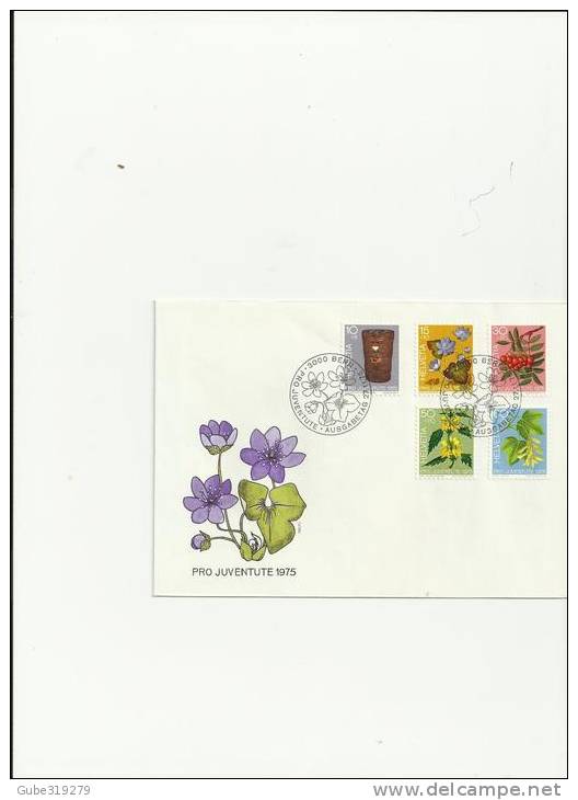 SWITZERLAND PRO JUVENTUTE 1976 -FDC  MILLER NR 1062/1066 (5 STAMPS )POSTMARKED 27/11/1976 REF 22 PR JU - Covers & Documents