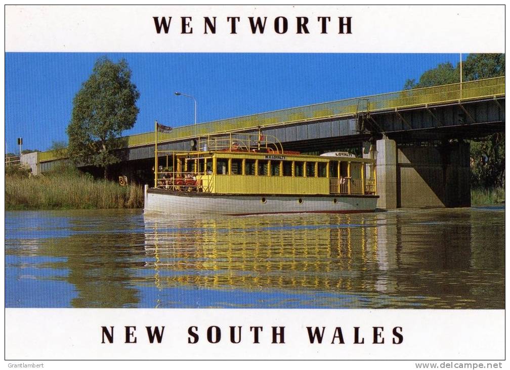 MV Loyalty Cruising The Darling River, Wentworth NSW Unused,  Nucolorvue Card - Other & Unclassified