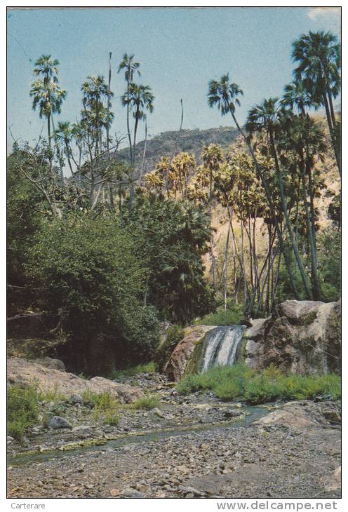 AFRIQUE,AFRICA,AFRIKA,colonie,DJIBOUTI,cascade De Bankoualé,jabuuti - Dschibuti