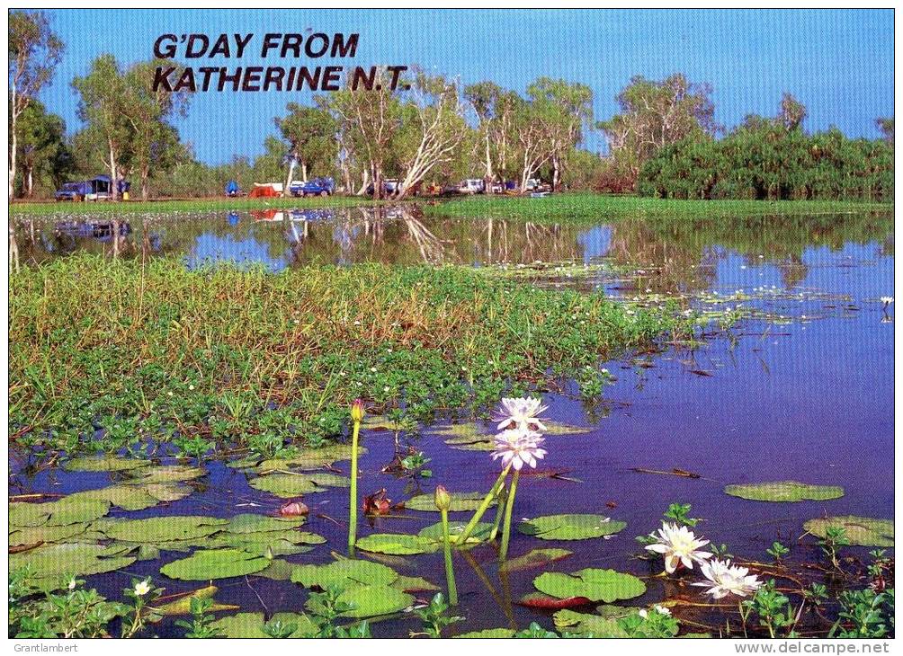 Yellow Waters, Kakadu National Park, Katherine Northern Territory Used 1992 - Katherine