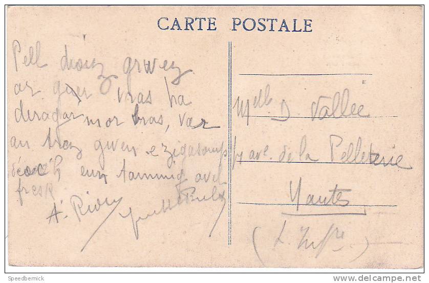 18722 Tréboul Les Villas à Travers Les Pins. CIM - Texte En Breton Correspondance Breiz - Tréboul