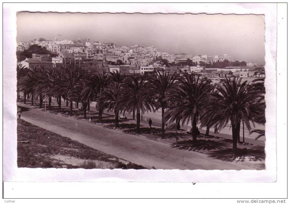 Tanger         La Ville Ancienne - Tanger