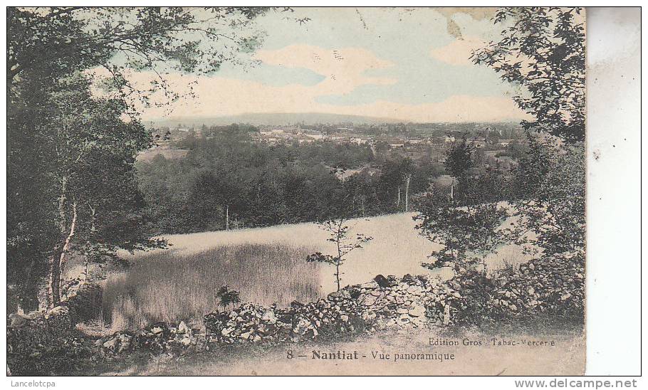 87 - NANTIAT / VUE PANORAMIQUE - Nantiat