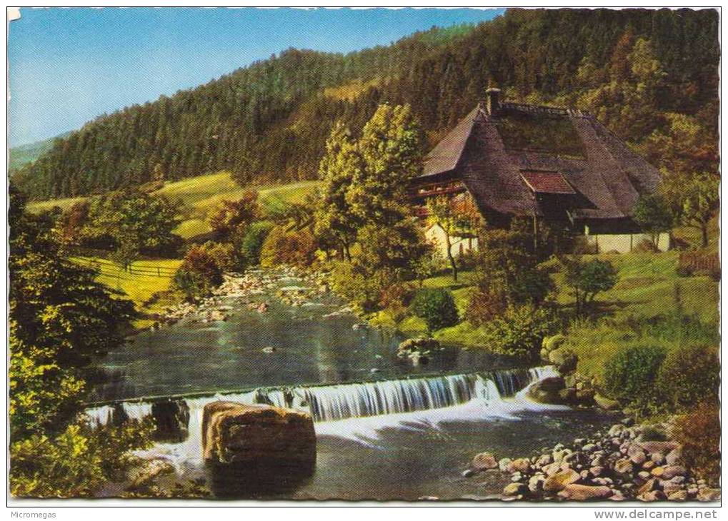 Schwarzwald Bauernhaus Bei Hornberg - Hornberg