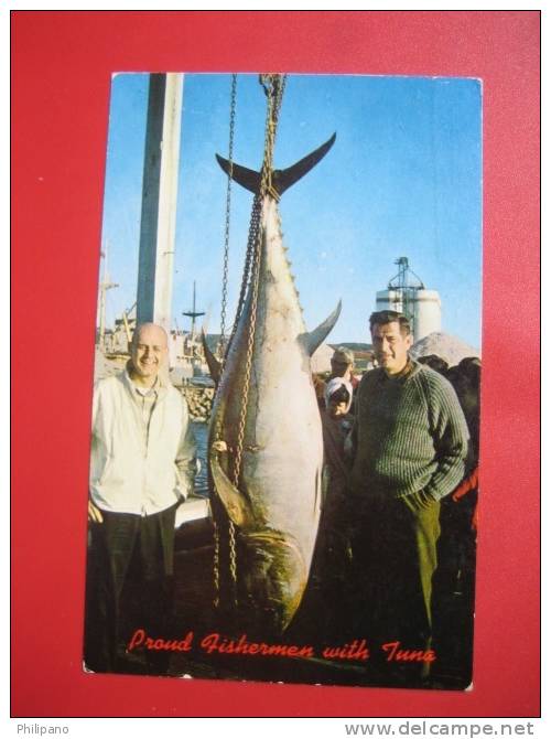 Proud Fisherman & Their Newfoundland Tuna Fish  Early Chrome        ===   =ref 301 - Other & Unclassified