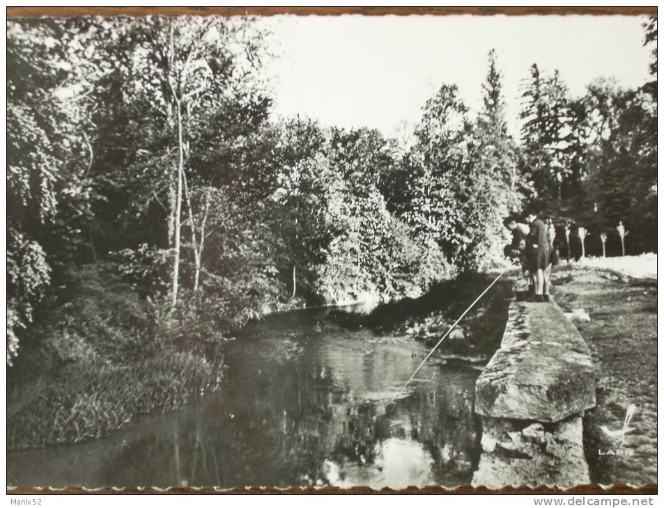 52 - CHATEAUVILLAIN - En Passant Par... (Enfants à La Pêche...) CPSM - Chateauvillain