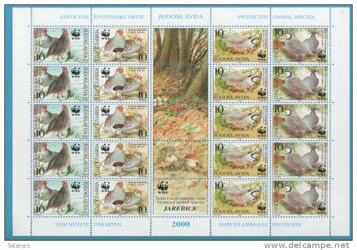 2000  JUGOSLAVIJA JUGOSLAVIA FAUNA BIRDS W.W.F. PROTECTED ANIMAL SPECIES  INTERESSANTE - Hojas Y Bloques