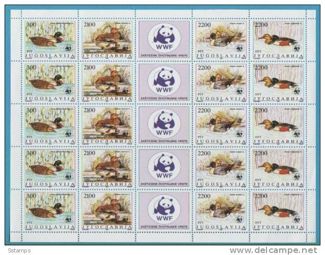 1989  JUGOSLAVIJA JUGOSLAVIA FAUNA BIRDS W.W.F. PROTECTED ANIMAL SPECIES  INTERESSANTE - Blocks & Sheetlets