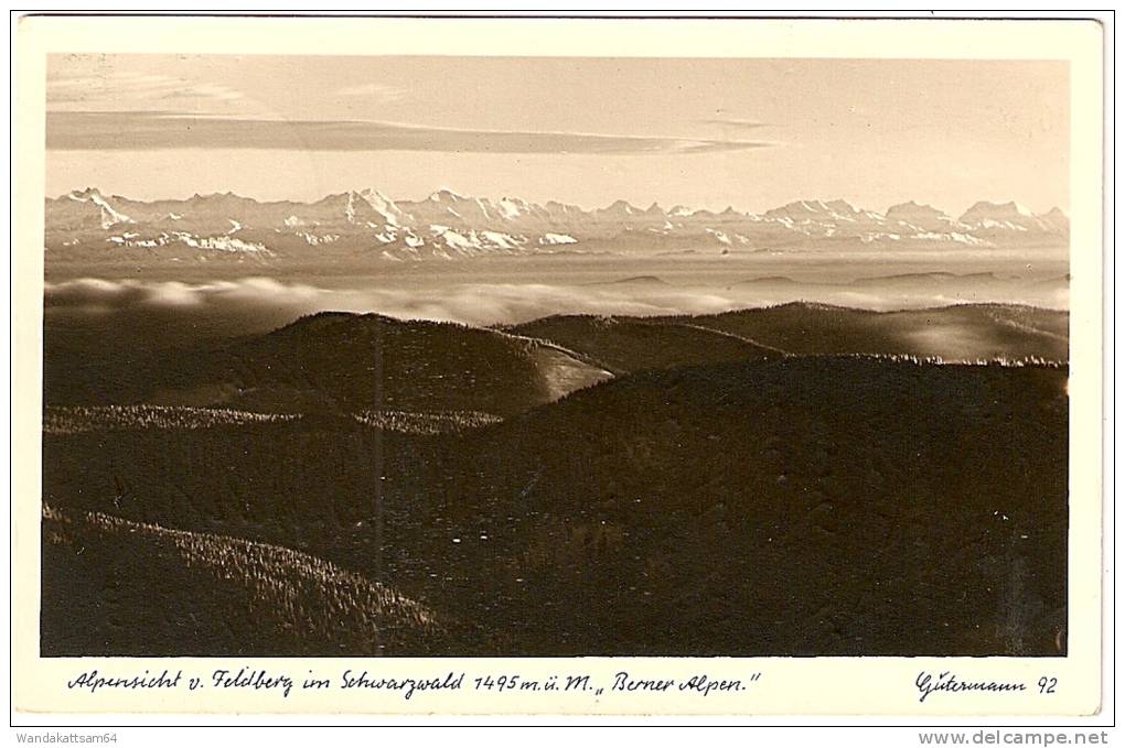 AK 92 Alpensicht V. Feldberg Im Schwarzwald 1495 M ü. M. "Berner Alpen." 26. 5. 56 FELDBERG (SCHWARZWALD) A Nach Lenzkir - Feldberg