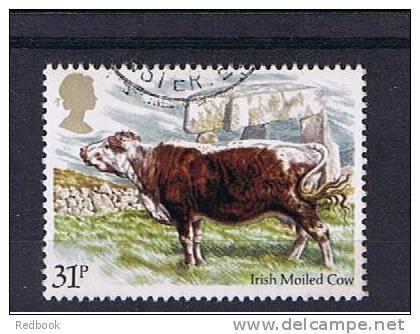 RB 773 - GB 1984 - British Cattle Irish Moiled Cow 31p  - Fine Used Stamp - Animals Cows Theme - Vaches