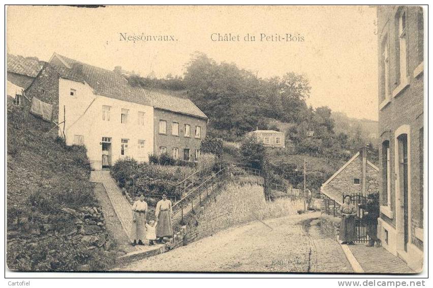 NESSONVAUX-CHALET DU PETIT-BOIS-CARTE ANIMEE - Trooz