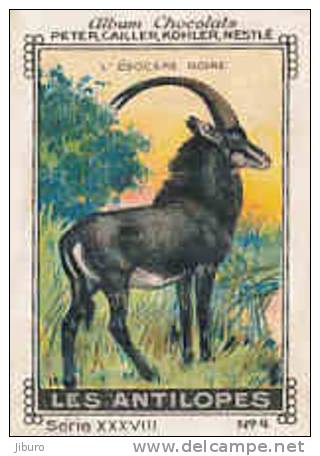 Image /  Les Antilopes : Egocère Noire  / ( Antelope - Antilope Animal Animaux ) / IM K-26/9 - Nestlé