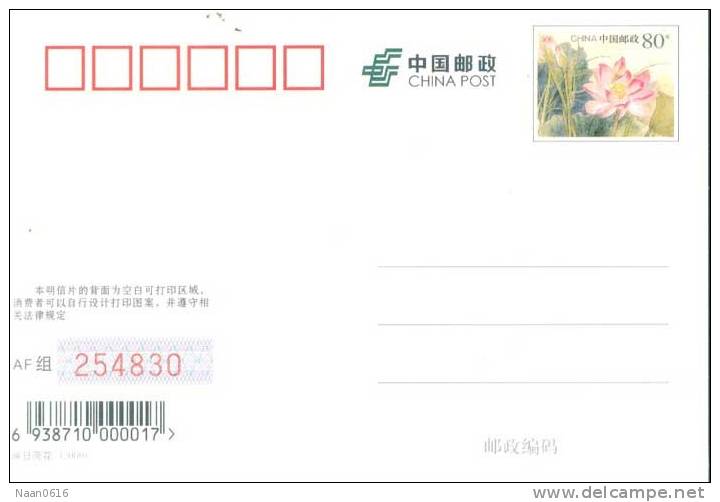 [Y59-038  ]   2005 World Year Of Physics   , Postal Stationery -- Articles Postaux -- Postsache F - Physik