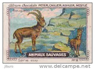 Image /  Animaux Sauvages : Bouquetin  / ( Animal Animaux Montagne ) / IM K-26/9 - Nestlé