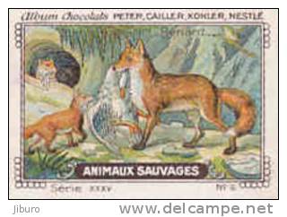 Image /  Animaux Sauvages : Renard  / ( Animal Animaux Fox ) / IM K-26/9 - Nestlé