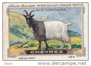 Image /  Chèvres : Race Schwarzhals /  ( Goat - Race Chèvre -  Goats ) / IM K-26/10 - Nestlé