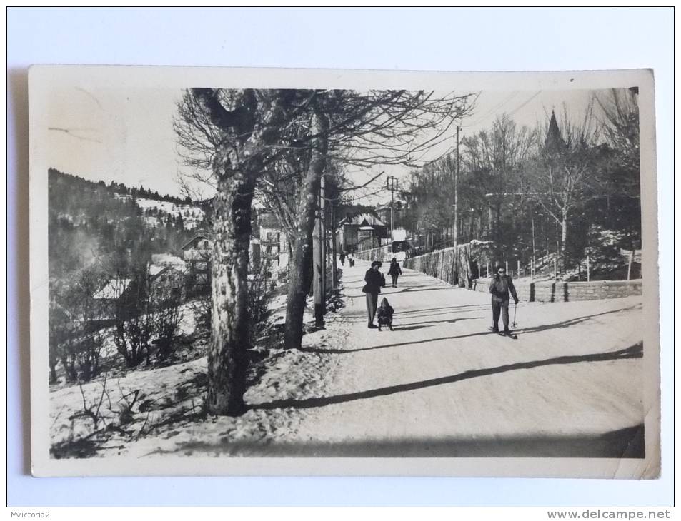 VILLARD DE LANS - La Descente Vers Le Champ De Neige Des Bains. - Villard-de-Lans