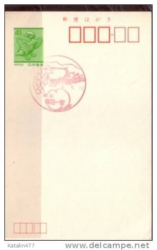 Japan, 1989.. Postal Stationary, With Nice  Cancellation, - Postcards