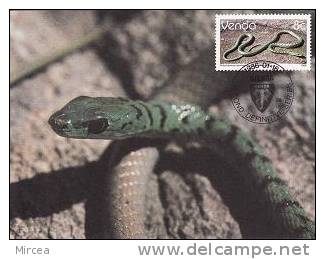 1952 -  Venda 1986 - Carte Maximum - Snakes