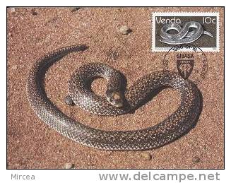 1950 -  Venda 1986 - Carte Maximum - Snakes