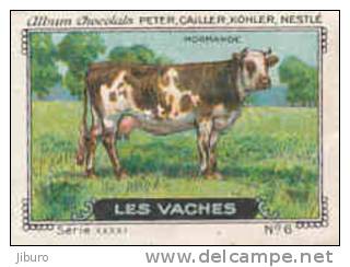 Image /  Les Vaches : Normande  /  ( Vache Race Cow ) / IM K-26/11 - Nestlé