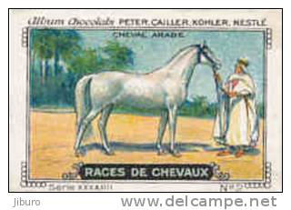 Image /  Races De Chevaux : Cheval Arabe  /  ( Horse Race Cheval ) / IM K-26/11 - Nestlé