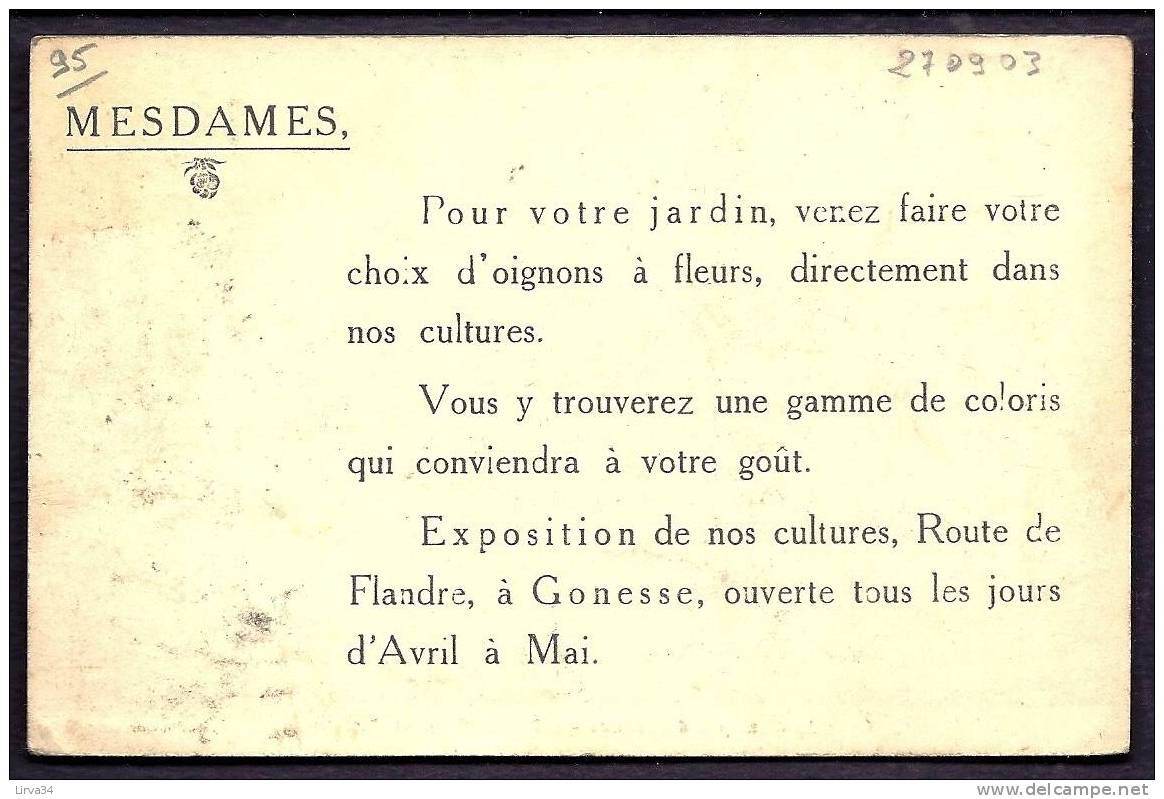 CPA  ANCIENNE- FRANCE- GONESSE (95)- CHAMP DE TULIPES DE FRANCE- CPA PUB- VOIR VERSO - Gonesse