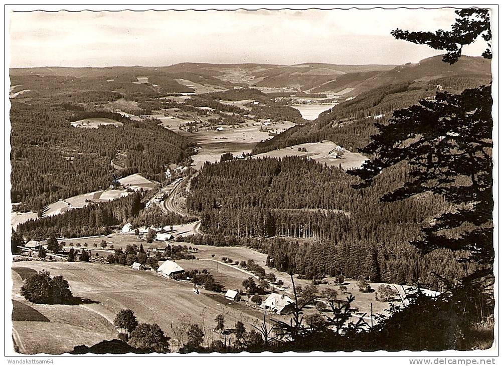 AK 1619 Bärental-Feldberg (Schwarzwald) 965 M ü. M. Blick Vom Drehkopf Auf Bärental, Titisee -8. 8. 68 - 17 7821 FELDB - Villingen - Schwenningen