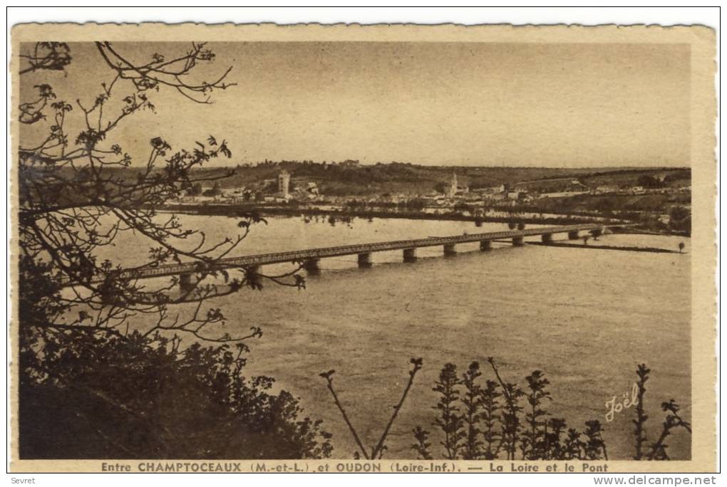 CHAMPTOCEAUX - OUDON. -  La Loire Et Le Pont - Champtoceaux