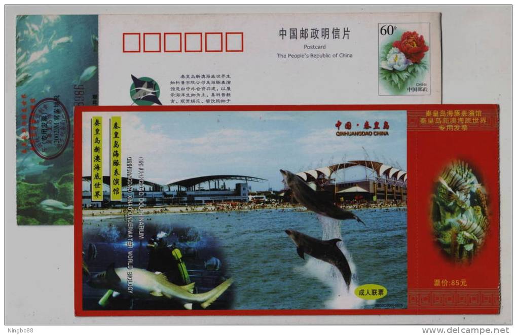 Dolphin,Shark,Scuba Diving,Diver,Fish,CN 02 Qinhuangdao Ocean World Aquarium Ticket Pre-stamped Card - Dolphins