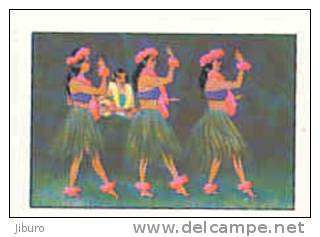 Image / Iles Merveilleuses / Danseuses Hawaïennes  / ( Ile Island Hawaii Dance Dance Danseuse ) / IM 26-K7/3 - Nestlé