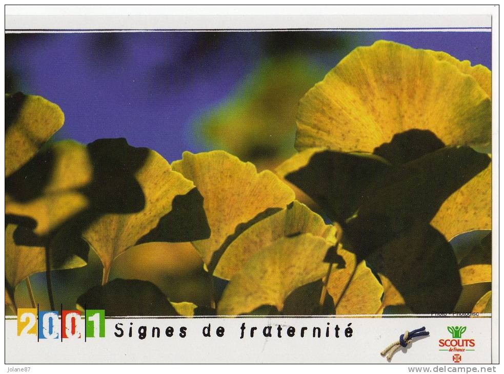 CARTE PUB       SCOUTS DE FRANCE     2001      SIGNES DE FRATERNITE - Movimiento Scout