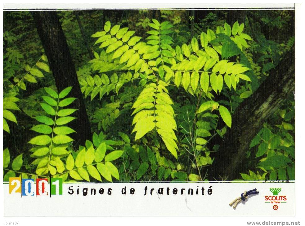 CARTE PUB       SCOUTS DE FRANCE     2001      SIGNES DE FRATERNITE - Pfadfinder-Bewegung