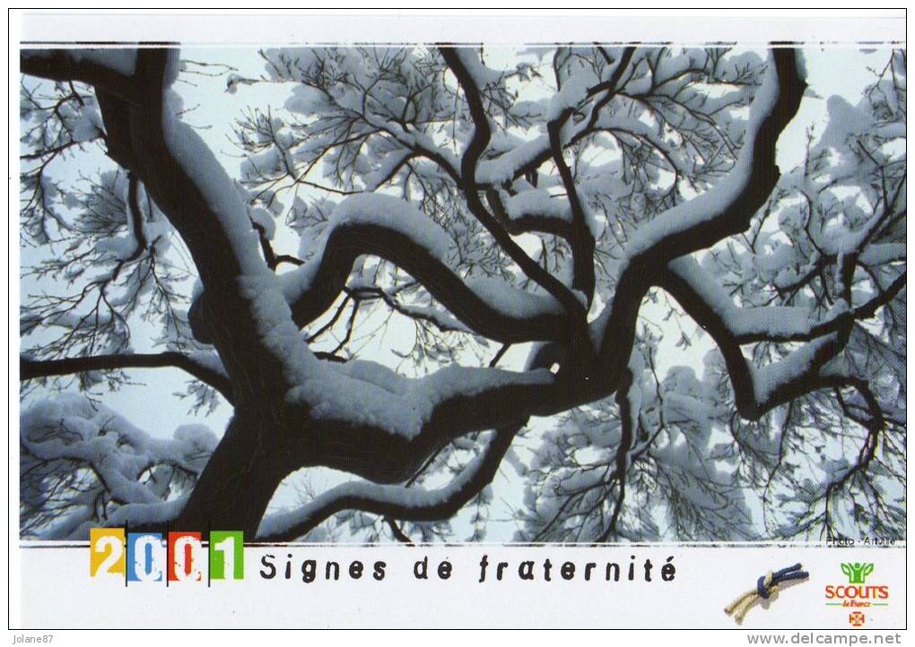 CARTE PUB       SCOUTS DE FRANCE     2001      SIGNES DE FRATERNITE - Padvinderij