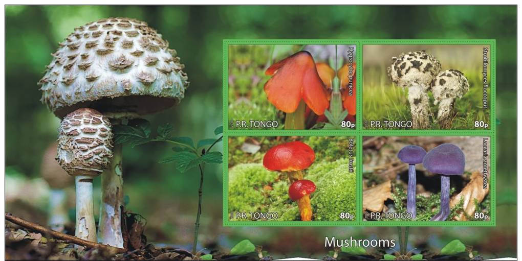 MUSHROOMS CHAMPIGNONS PADDESTOELEN PADDENSTOELEN MUSHROOMS PILZE SETAS FUNGHI  MNH Imperforated CINDERELLA - Fantasy Labels