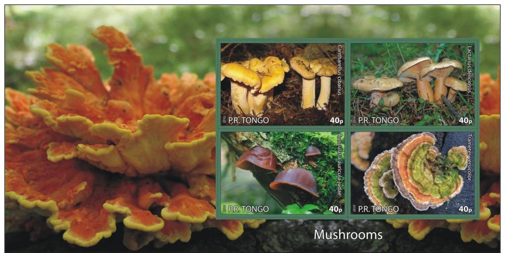 MUSHROOMS CHAMPIGNONS PADDESTOELEN PADDENSTOELEN MUSHROOMS PILZE SETAS FUNGHI  MNH Imperforated CINDERELLA - Fantasy Labels