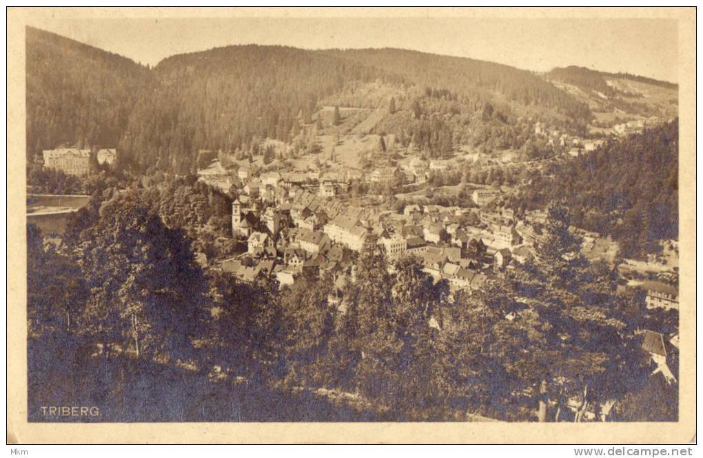 Triberg Panorama - Triberg