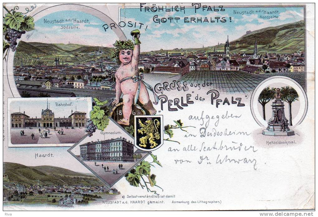 Gruss Aus Der Perle Der PFALZ Carte Avec 6 Vues ( Pliures Au Coins ) - Neustadt (Weinstr.)