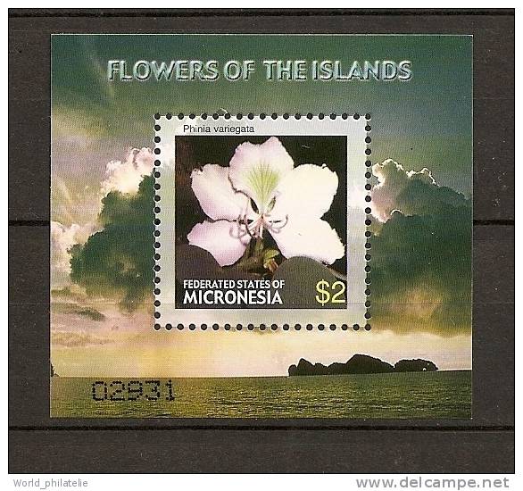 Micronésie Micronesia 2005 N° BF 154A ** Flore, Fleurs, Phinia Variegata - Micronesië