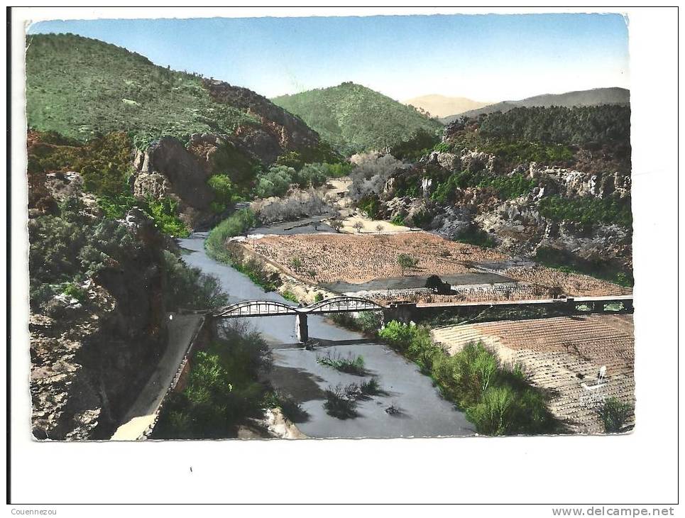 V 377  LE MUY    LES GORGES DE BAGAREDES LE PONR D ARGENS 1962 - Le Muy