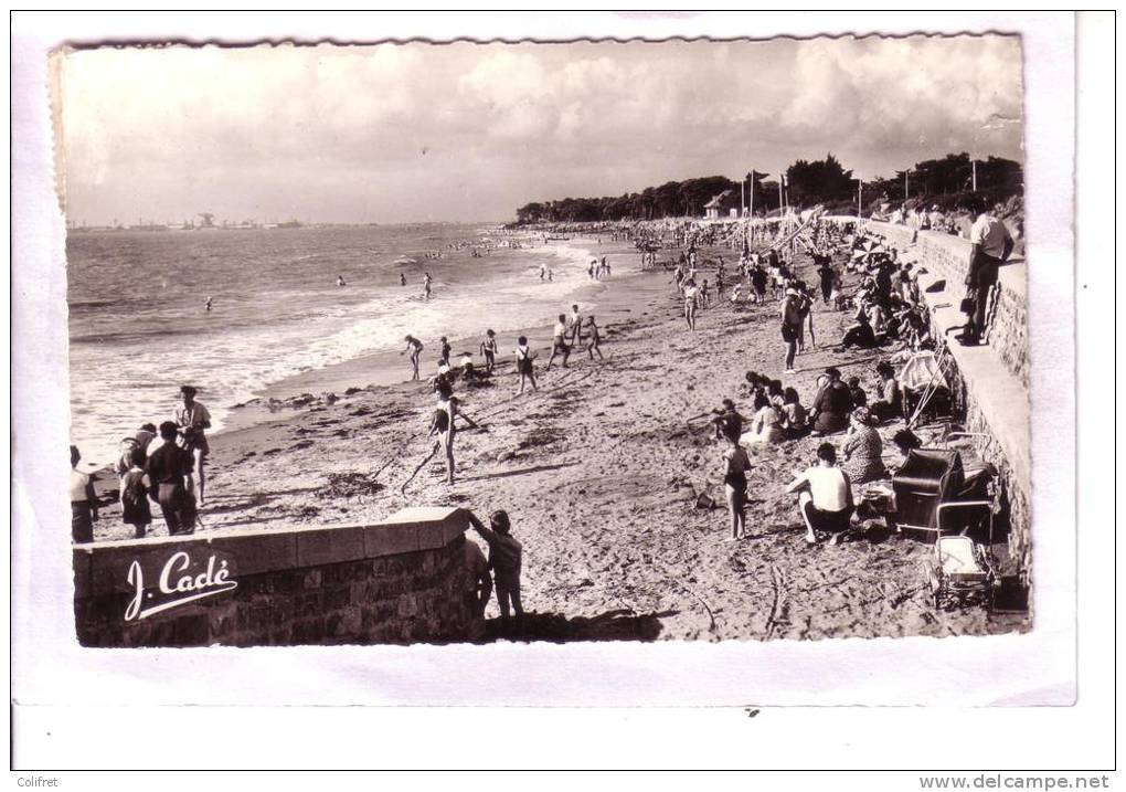 44 - St-Brévin-les-Pins         La Plage à Marée Haute - Saint-Brevin-les-Pins